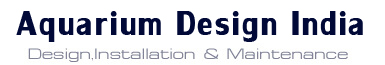 Aquarium Design India