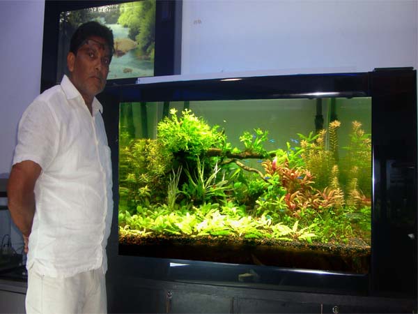 Aquarium Design India Professional Aquarium Designer In
